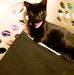 Profile Picture of Boo Perkins (@boo.perkins.5) on Facebook