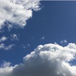 Profile Picture of a (@amber.murphyidk) on Instagram