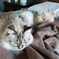 Ray Tierney - Quora Profile Picture of Ray Tierney (@ray-tierney-2) on Quora