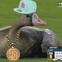 Matthew Woodward - Quora Profile Picture of Matthew Woodward (@matthew-woodward-109) on Quora