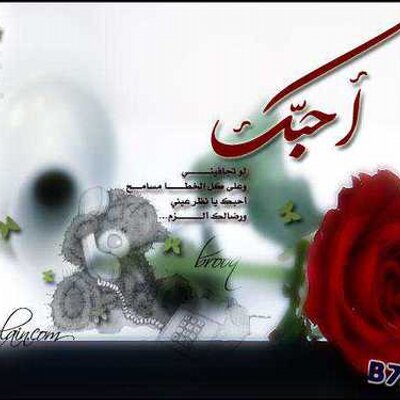 Profile Picture of Omar Albadri (@omaralbadri2013) on Twitter