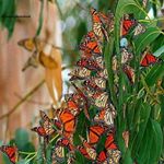 Profile Picture of miriam_kennedyt (@miriam_kennedyt) on Instagram