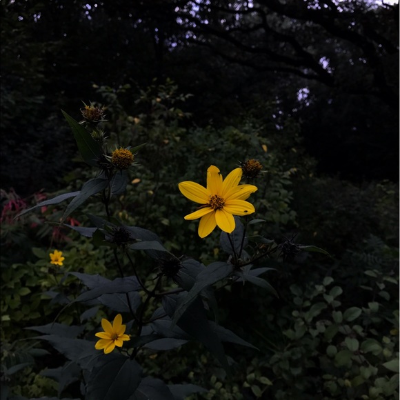 Profile Picture of Bailey Frantzich (@baileysaundra1) on Poshmark