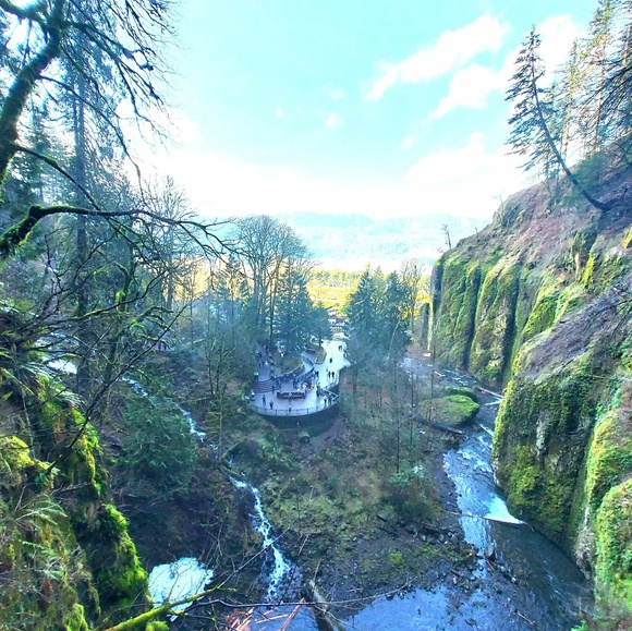 Profile Picture of Desiree Shafman (@lucidfusion) on Poshmark