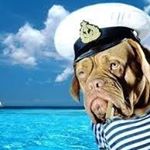 Profile Picture of Graham Spencer (@graham.spencer15) on Instagram