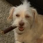 Profile Picture of Chase Mcginnis (@chase.mcginnis.235521) on Facebook