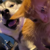 Profile Picture of James Carson (@JamesCarson-x7v) on Youtube