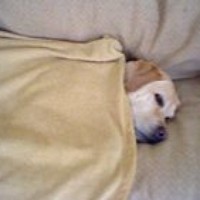 Profile Picture of Christopher Spencer (@christopher-spencer-8) on Quora