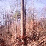 Profile Picture of violet duffy (@violetduffy) on Instagram