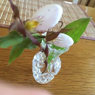 Profile Picture of Audrey Samkow (@audrey.samkow) on Facebook