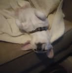 Profile Picture of Jason Roskey (@jason.roskey.31) on Facebook