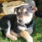 Profile Picture of Jasonkhalil007 (@jasonkhalil007) on Instagram