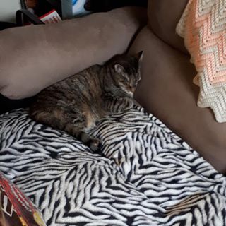 Profile Picture of Joyce Roberge (@joyce.roberge.50) on Facebook