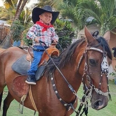 Profile Picture of El Ferras 😎 (@Daniel90975821) on Twitter