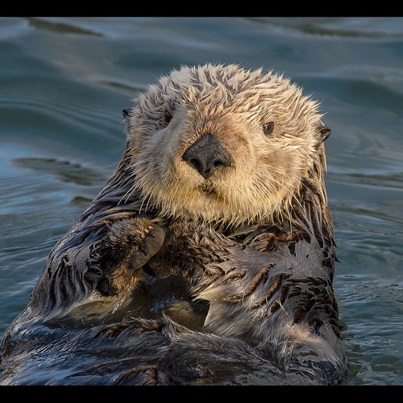 Profile Picture of Amaya Deguchi (@amayadeguchi) on Poshmark