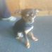 Profile Picture of Diane Mctaggart (@diane.mctaggart.98) on Facebook