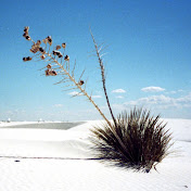 Profile Picture of Chad Zimmerman (@chadzimmerman1186) on Youtube