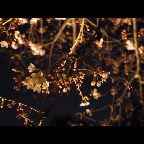 Profile Picture of Rachel Gerards (@rgerards) on Poshmark