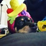 Profile Picture of Loreal Bouchee (@lorealbouchee) on Instagram