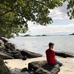 Andrew Malone - Instagram Profile Picture of Andrew Malone (@maloneandco) on Instagram