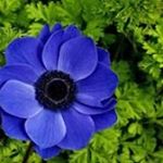 Daiana Kovacovich - Instagram Profile Picture of Daiana Kovacovich (@kovacovichdaiana) on Instagram