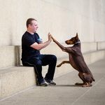 Profile Picture of Tyler Koch (@sarasota_pet_expert) on Instagram