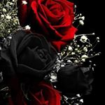 Profile Picture of samina shahzadi (@shahzadi_samina) on Instagram