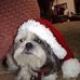 Profile Picture of Kevin Ritter (@kevin.ritter.967) on Facebook