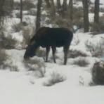 Profile Picture of Merridee Matson (@merridee.matson) on Facebook