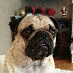 Bryan Stitt - Instagram Profile Picture of Bryan Stitt (@bstitta) on Instagram