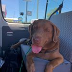Profile Picture of Steven Podd (@steven.podd) on Instagram