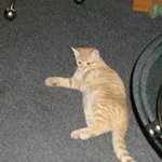 Profile Picture of Rose Neal (@rose.neal.376) on Instagram