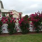 Profile Picture of Ron Wolfe (@wolfiee76) on Instagram