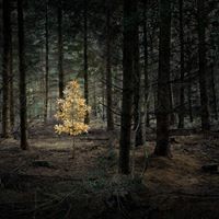 Profile Picture of Mike Abbott (@mike-abbott-21) on Quora