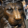 Profile Picture of Brian Topp (@Brian Topp) on Flickr