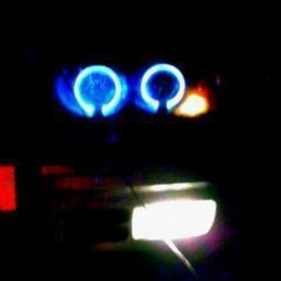 Profile Picture of Mark Heinrich Lepper (@LepperAllan) on Twitter