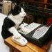 Profile Picture of Catherine Wesson (@catherinew1065) on Pinterest