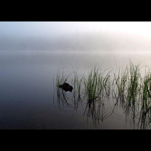 Profile Picture of Olga Kaplun (@cusinka) on Poshmark