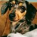 Profile Picture of Jacqueline Makowski (@gradymak79) on Pinterest