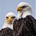 Profile Picture of Paul Crutcher (@paul.crutcher.92) on Facebook