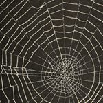 al grooms - Instagram Profile Picture of al grooms (@alicegroomsy) on Instagram