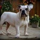 Profile Picture of Joyce Grandy (@grandy1900) on Facebook