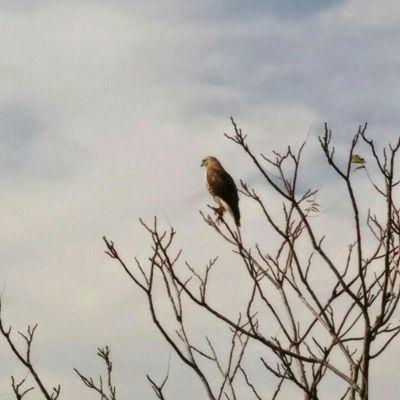 Profile Picture of Dan Pfeifer (@dpfeifer80) on Twitter