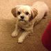 Profile Picture of Beverly Pfaff (@beverly.pfaff.7) on Facebook