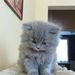 Profile Picture of tim coke (@timcoke) on Pinterest