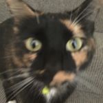 Profile Picture of Molly Skarratts (@molly18957) on Instagram