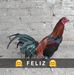 Profile Picture of Daniel Quispe Garibay (@daniel.quispegaribay) on Facebook