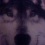 Profile Picture of jason loucks (@loucks105) on Instagram