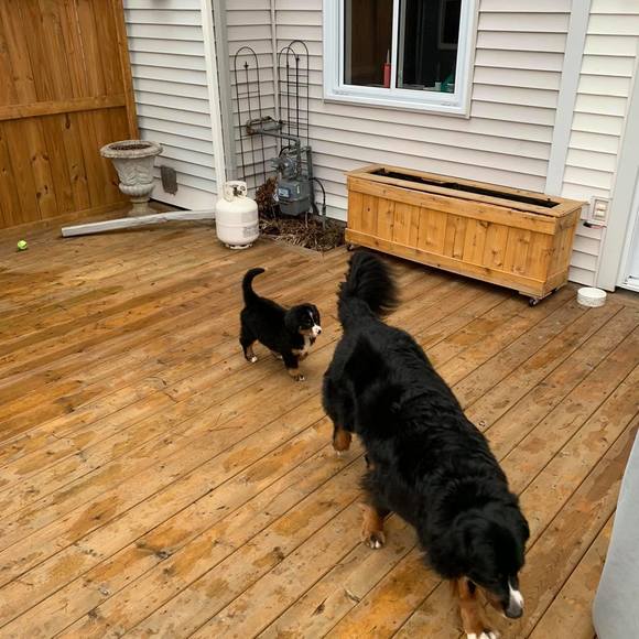 Profile Picture of Johnny Bukowski (@johnbukowski) on Poshmark