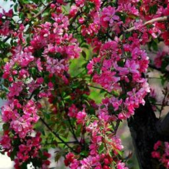 Profile Picture of Inna Inna (@aaaacccc514) on Poshmark